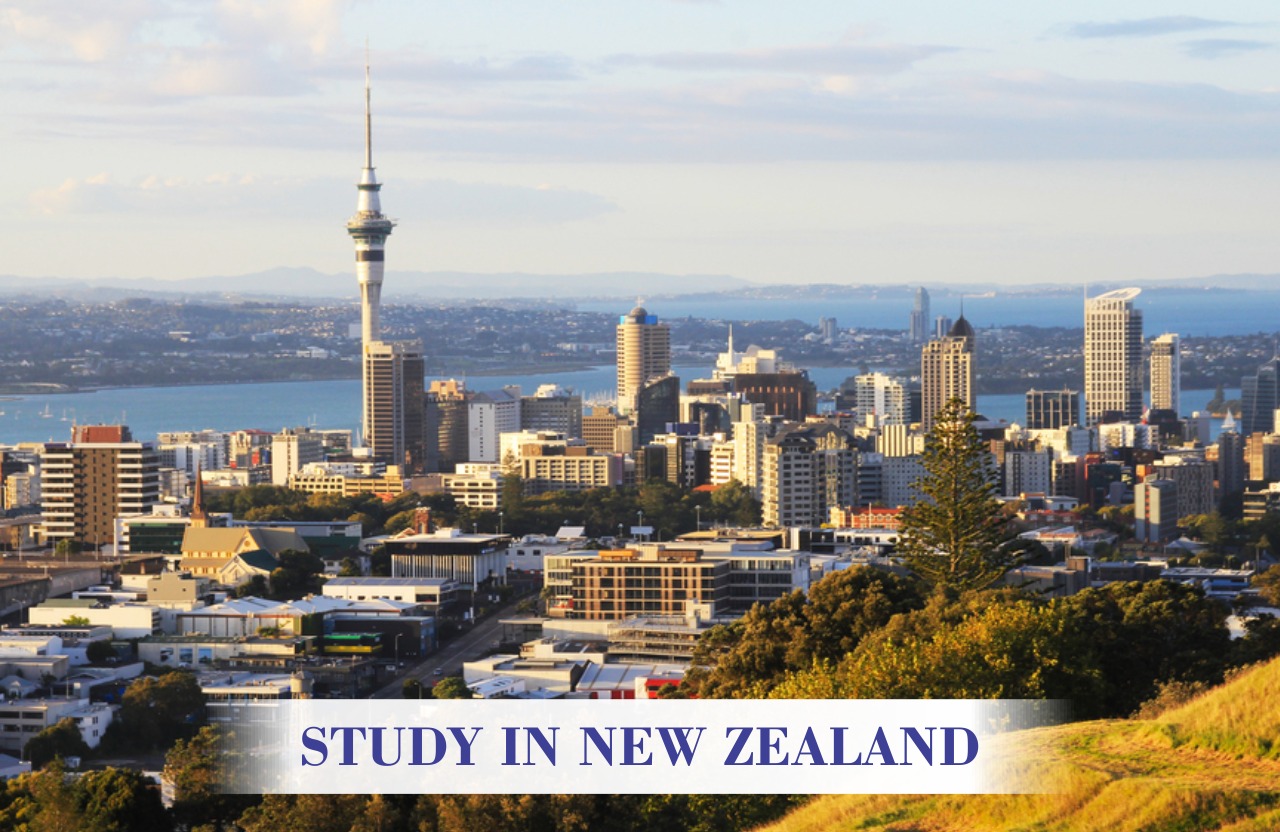 Want to Study in New Zealand